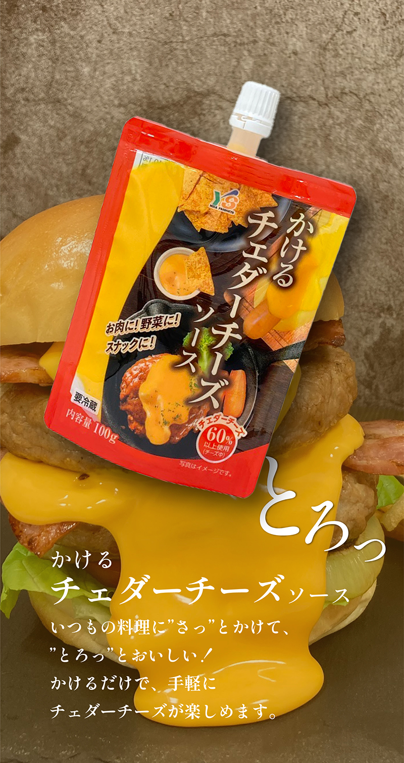 いつもの料理にさっとかけて とろっとおいしい!かけるチェダーチーズソース